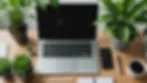 High angle view of a modern workspace with a digital device and green plants