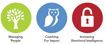 Brain Aware Leader Session Icons