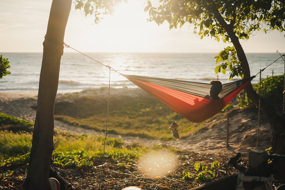 a person in a hammock next to a lake between two trees